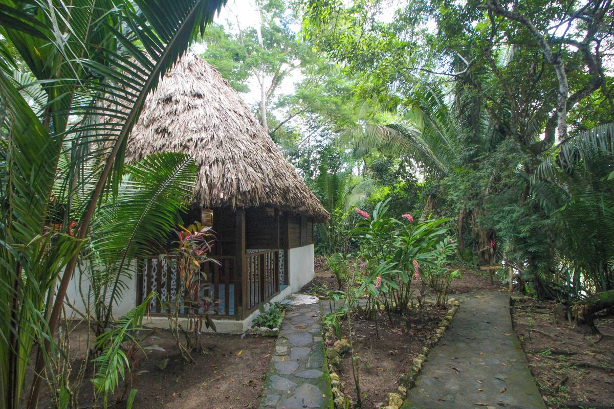 Una cabaña rústica con techo de paja y un camino de piedra que la conduce, rodeada de abundante follaje y plantas tropicales.
