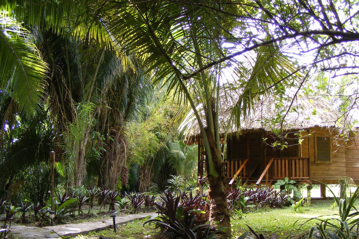 Una cabaña de madera rodeada de exuberante vegetación tropical, con palmeras y diversas plantas.