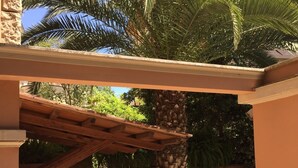 A covered outdoor area with a palm tree, a potted plant, and bicycles. - Villa Borghese Oasis: Quiet, Large Apartment with WiFi, AC, Patio - Palm House 1 (Roma)