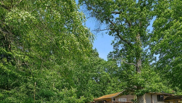 A circular outdoor seating area with green Adirondack chairs and a fire pit, surrounded by a gravel ring. - All Decked Out | Arcade Games | Amazing 5 BR |  Huge Deck | Fire Pit | Close to Everything WI Dells (Wisconsin Dells)