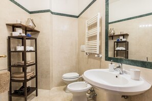 Shower, hair dryer, bidet, towels