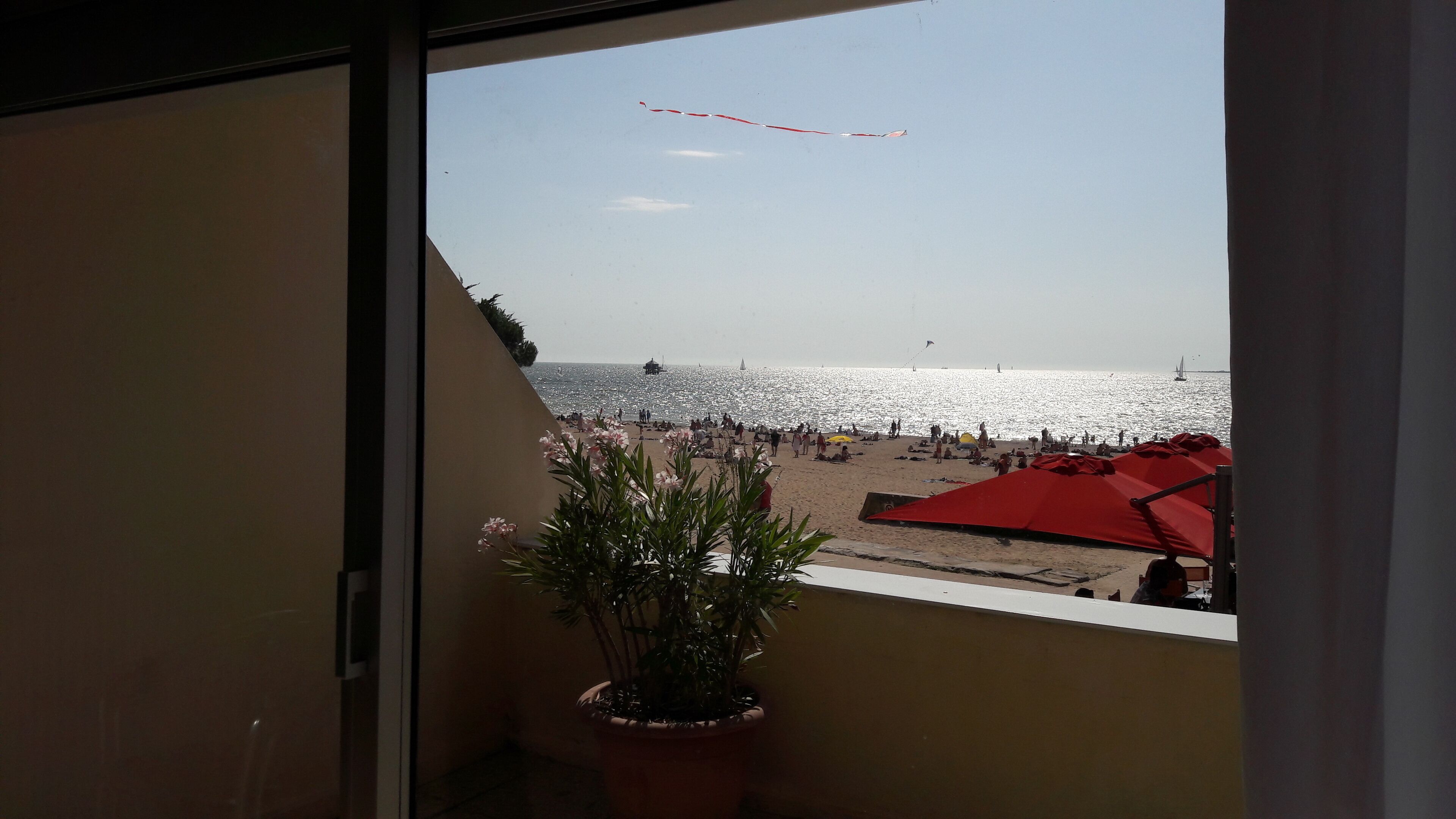 A balcony with a view of a beach, a potted plant, and red umbrellas.
