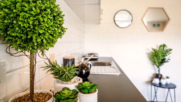 Una cocina moderna con mostrador, plantas en macetas y un espejo en la pared.