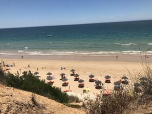 Playa en los alrededores, camastros y toallas de playa 