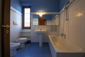 Combined shower/bathtub, free toiletries, hair dryer, bidet