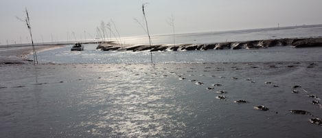 Una spiaggia nelle vicinanze