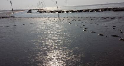 Familienfreundlich u. voll ausgestattetes Ferienhaus direkt am Nordsee-Deich