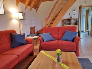 TV, fireplace, DVD player, books