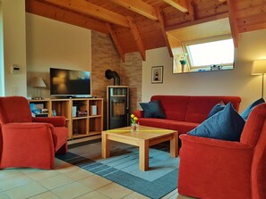 TV, fireplace, DVD player, books