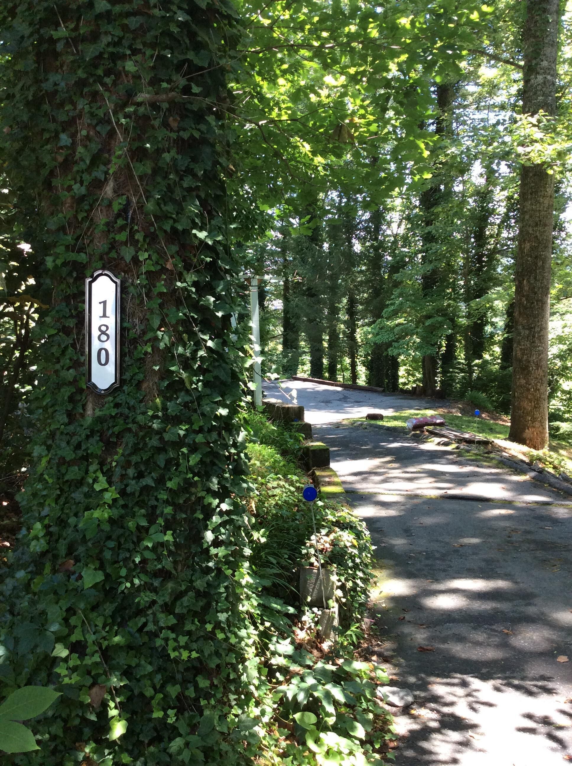 A road with a sign reading "180" amidst dense greenery.