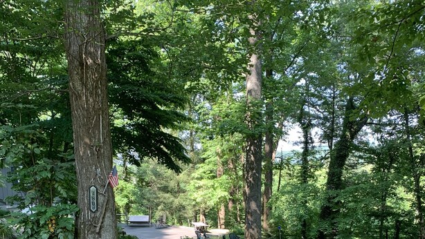 A paved road flanked by trees and stone borders, leading to a parking area with a sign.