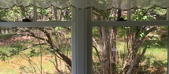 Lilac Cottage - Near Georgetown Island - Midcoast Maine