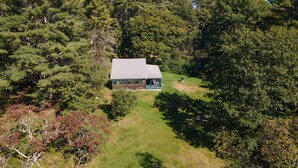 Une cabane entourée d’une forêt dense, avec un sentier bien tracé menant à l’entrée.