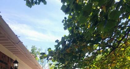 Welcome to your home away from home at my Bardstown’s Sweet Retreat!