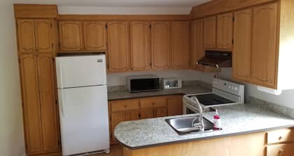 Superb condo very spacious downtown