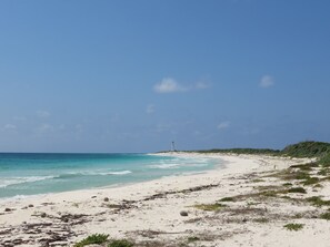 On the beach, sun loungers, beach towels