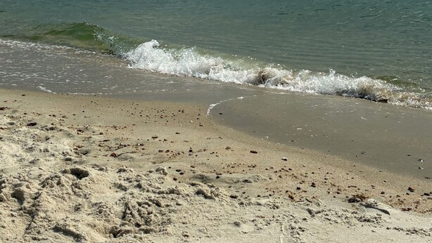 A beach with footprints and shells, calm water, and a distant shoreline.