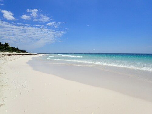 Paradise in the Riviera Maya - PRIVATE POOL- INTERNET- SPECIAL DIVE RATES