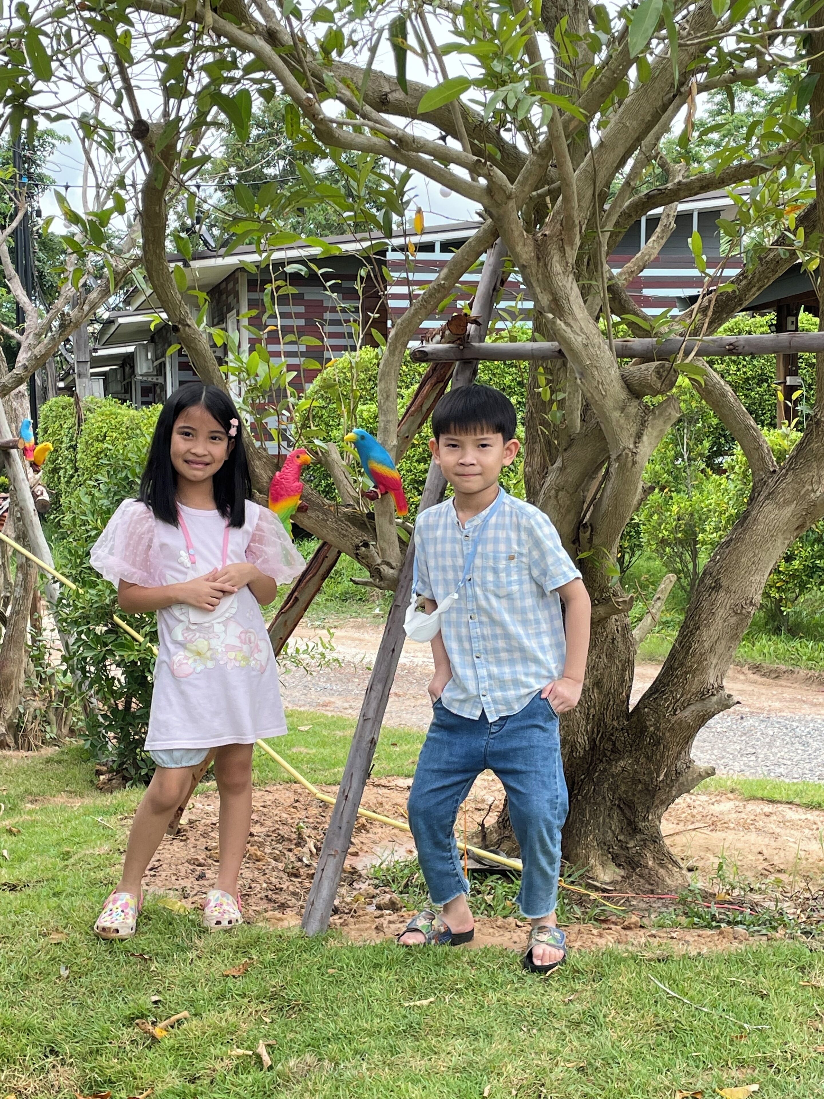 Two children standing in front of a tree with colorful birds perched on it.