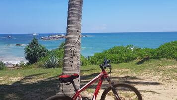A red mountain bike parked next to a palm tree on a sandy beach with a view of the ocean and rocky outcrops.
