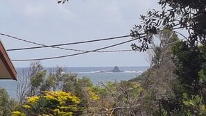 Vista costera con una destacada formación rocosa en la distancia, rodeada de densa vegetación y un cielo despejado.