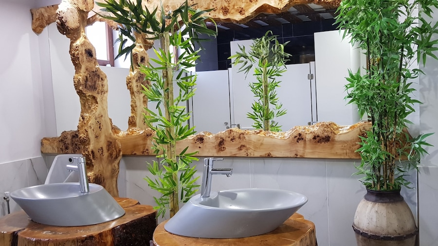Sarikamis Kayi Snow Otel
