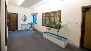 Un couloir doté d’un sol recouvert de moquette, d’une porte en bois, d’une fenêtre avec des rideaux et d’une plante dans un pot blanc.