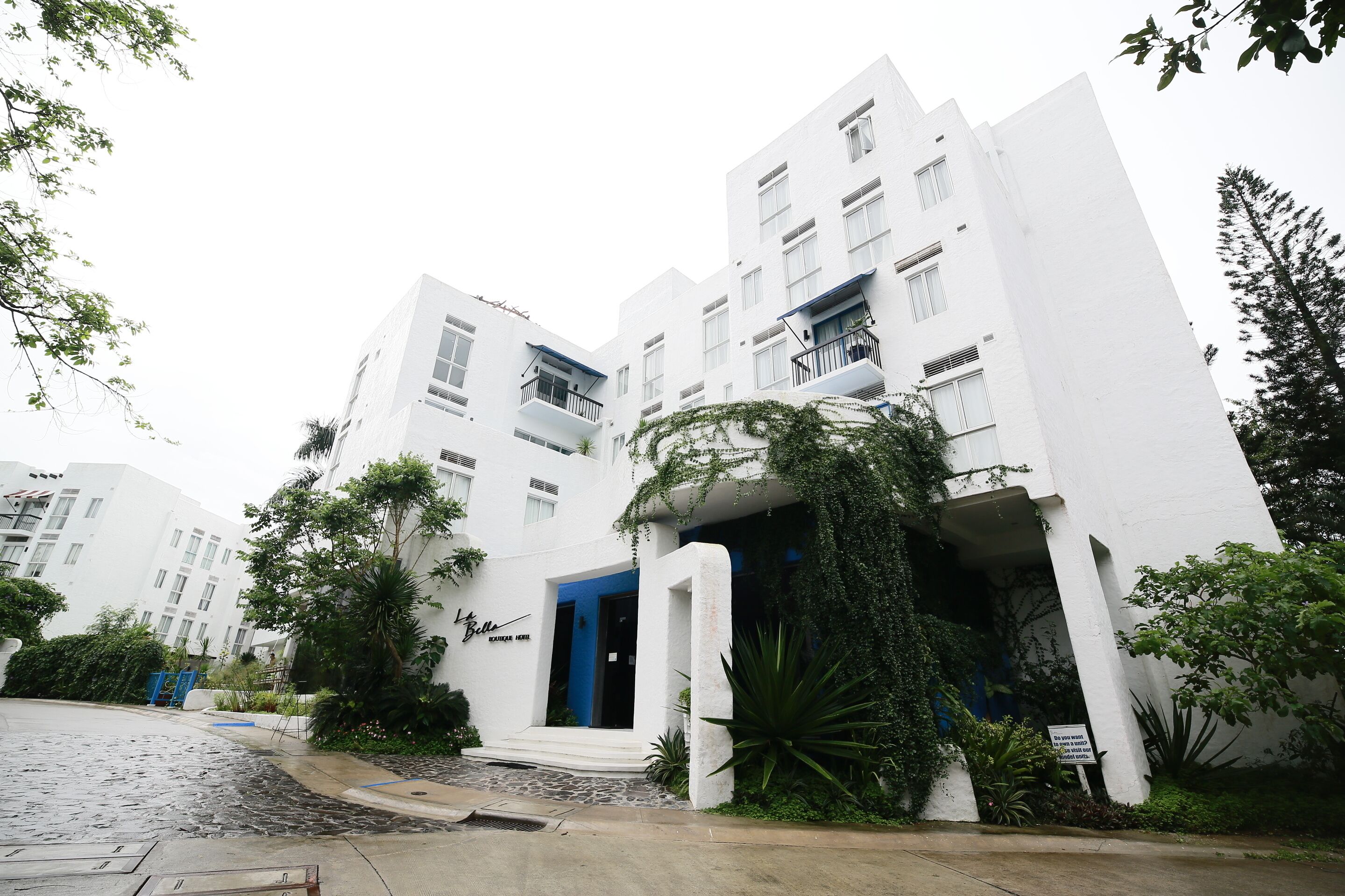 Un edificio moderno blanco con una entrada azul, rodeado de vegetación y un camino adoquinado.