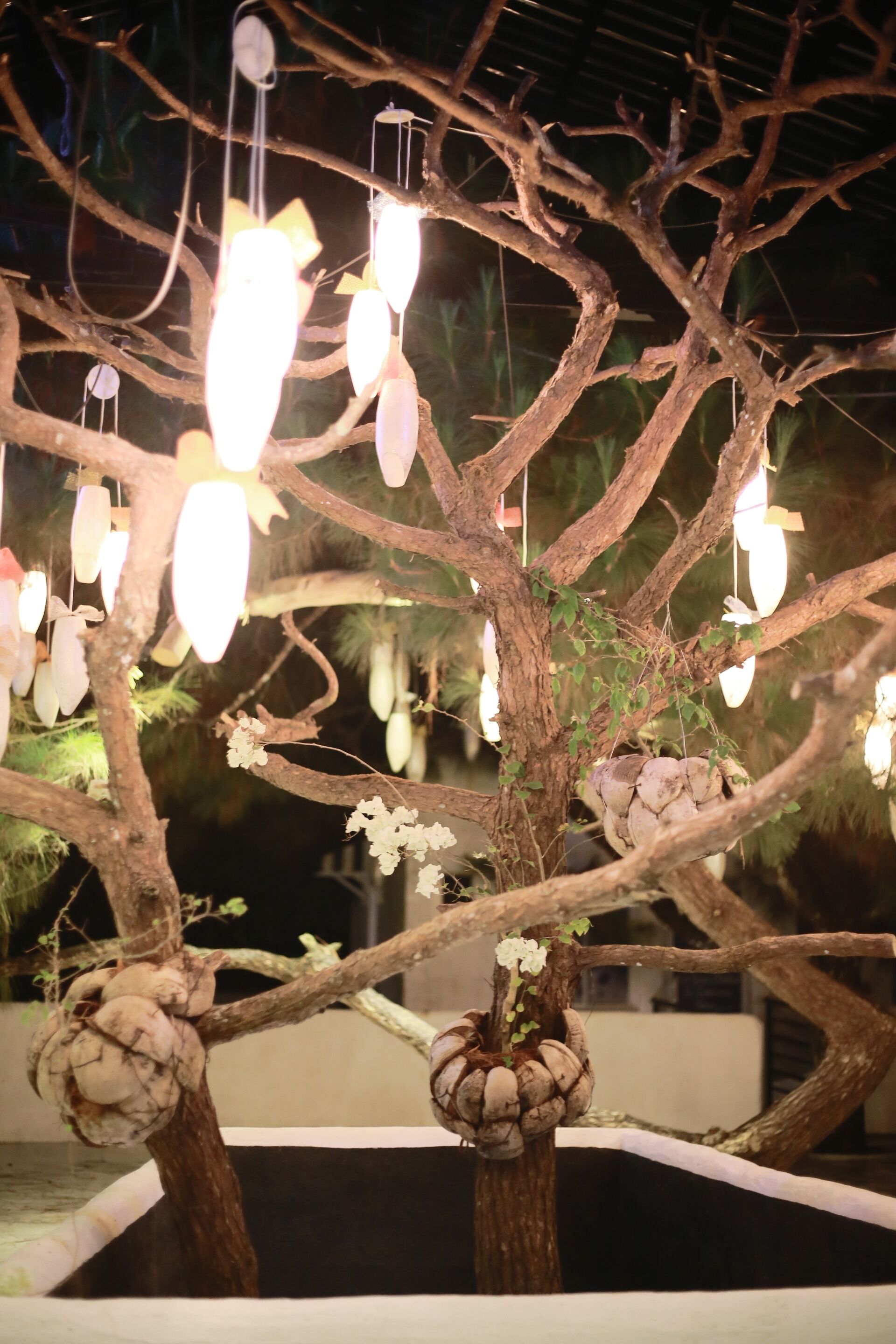 A tree with branches wrapped in coconuts and illuminated by hanging lights.