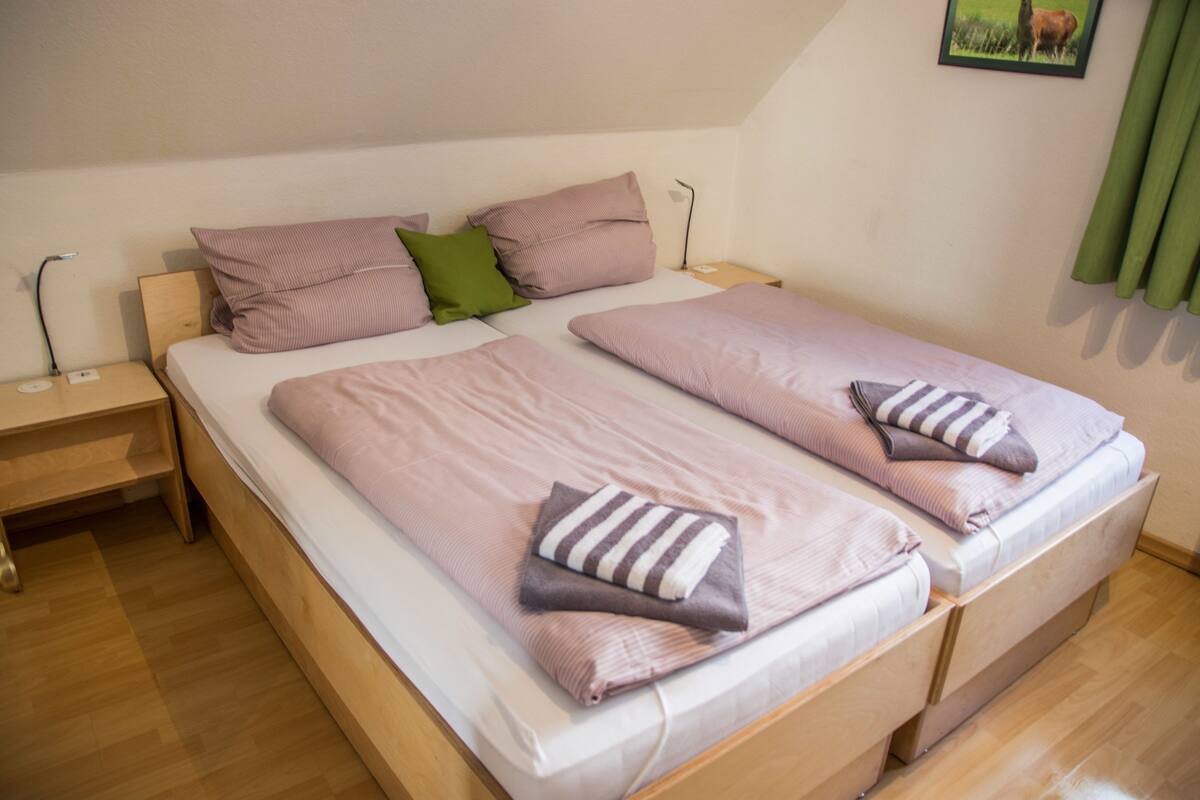 Una cama doble con dos almohadas y una manta, una mesita de noche y un cuadro colgado en la pared.
