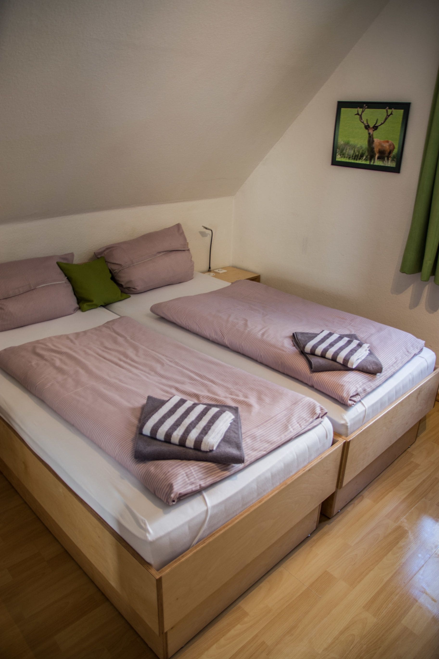 A room with two single beds, each with a pillow and a blanket. There is a green pillow on one bed and a striped pillow on the other. A framed picture of a deer is on the wall.