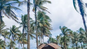 Ecotours