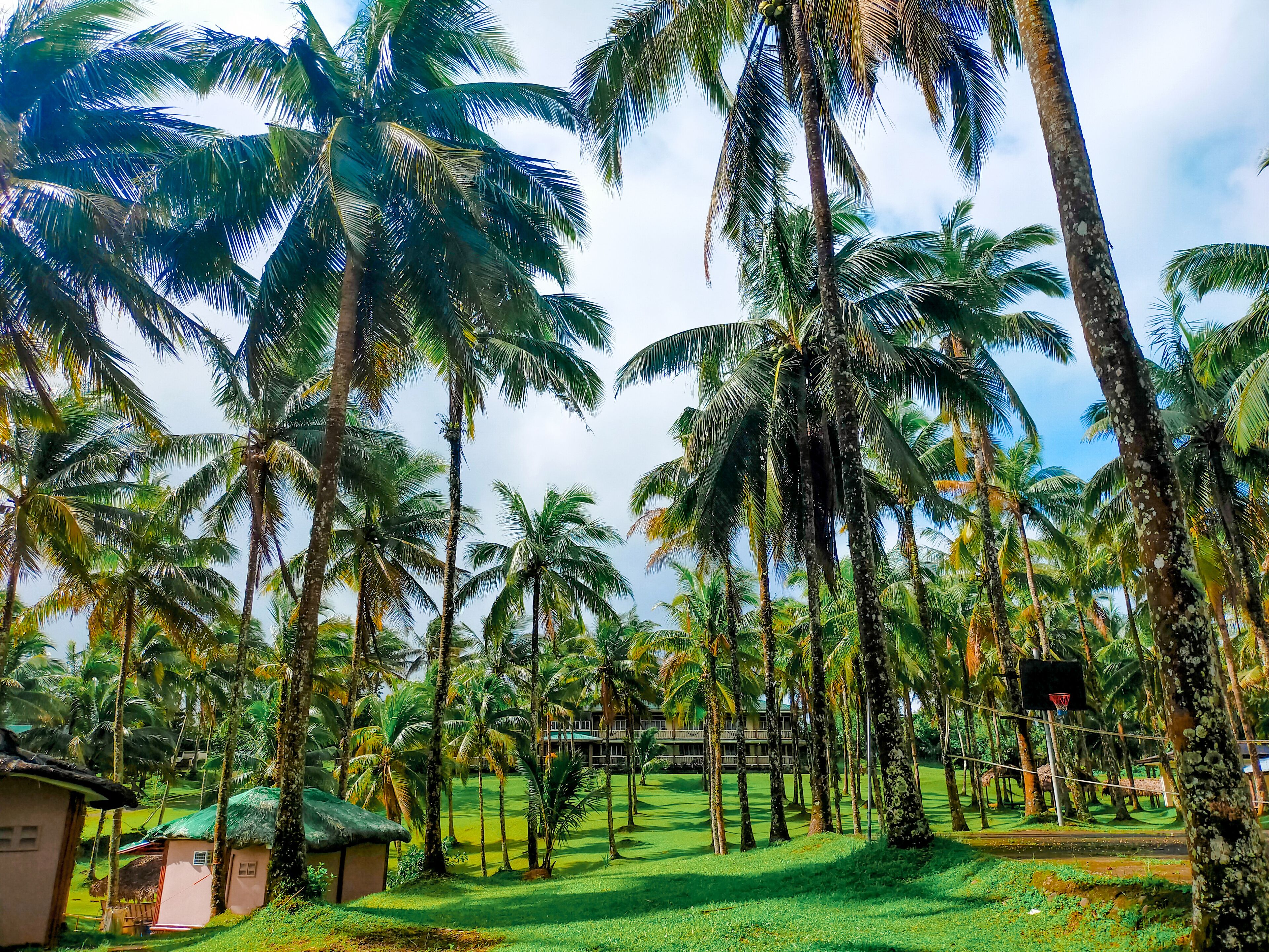 land view from property