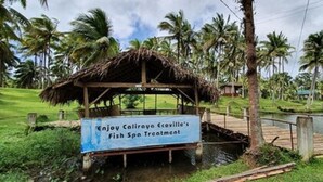 A rustic wooden structure with a thatched roof, surrounded by palm trees and a body of water, advertising a fish spa treatment. - Caliraya Ecoville Recreation and Farm Resort (Cavinti)