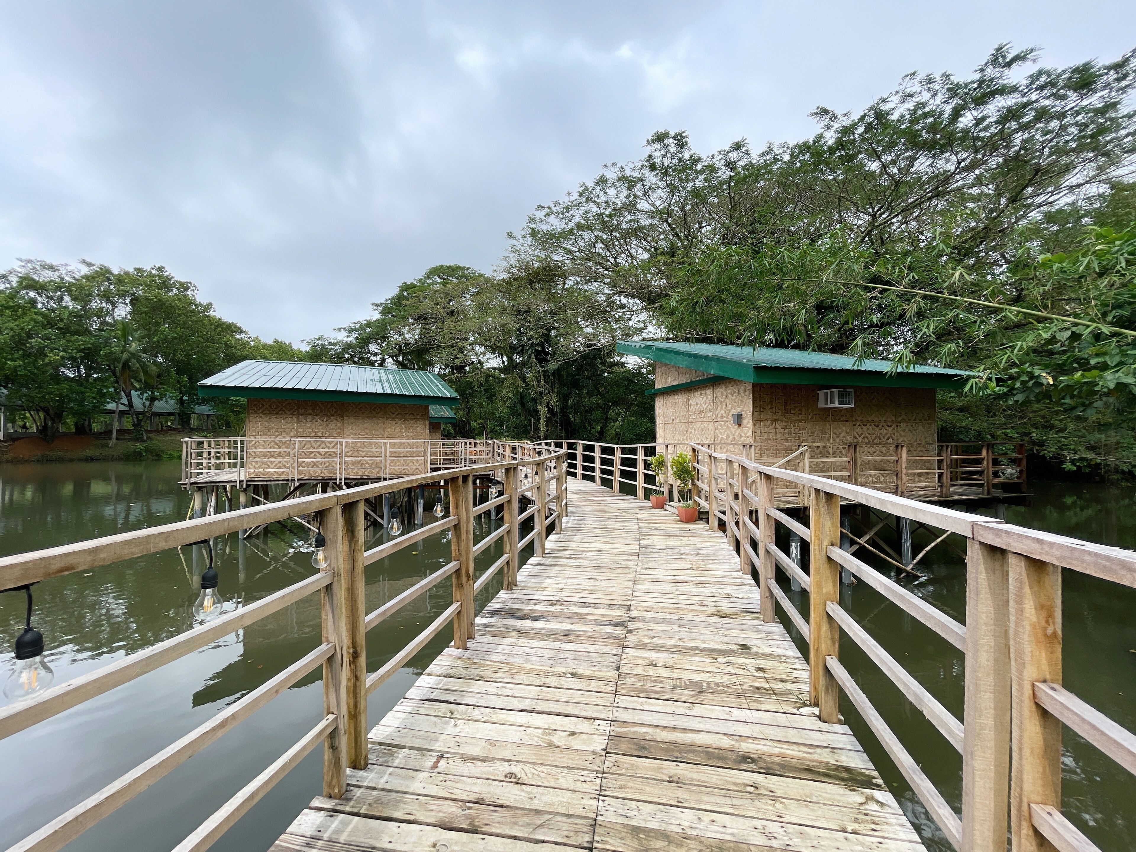 Un muelle de madera que conduce a dos pequeños edificios de una sola planta con techos verdes, rodeados de agua y árboles.