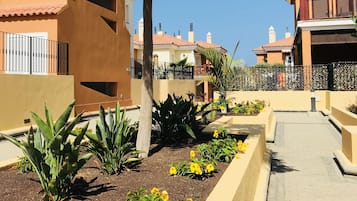 A residential area with a paved walkway, a large tree, and a variety of plants and flowers.