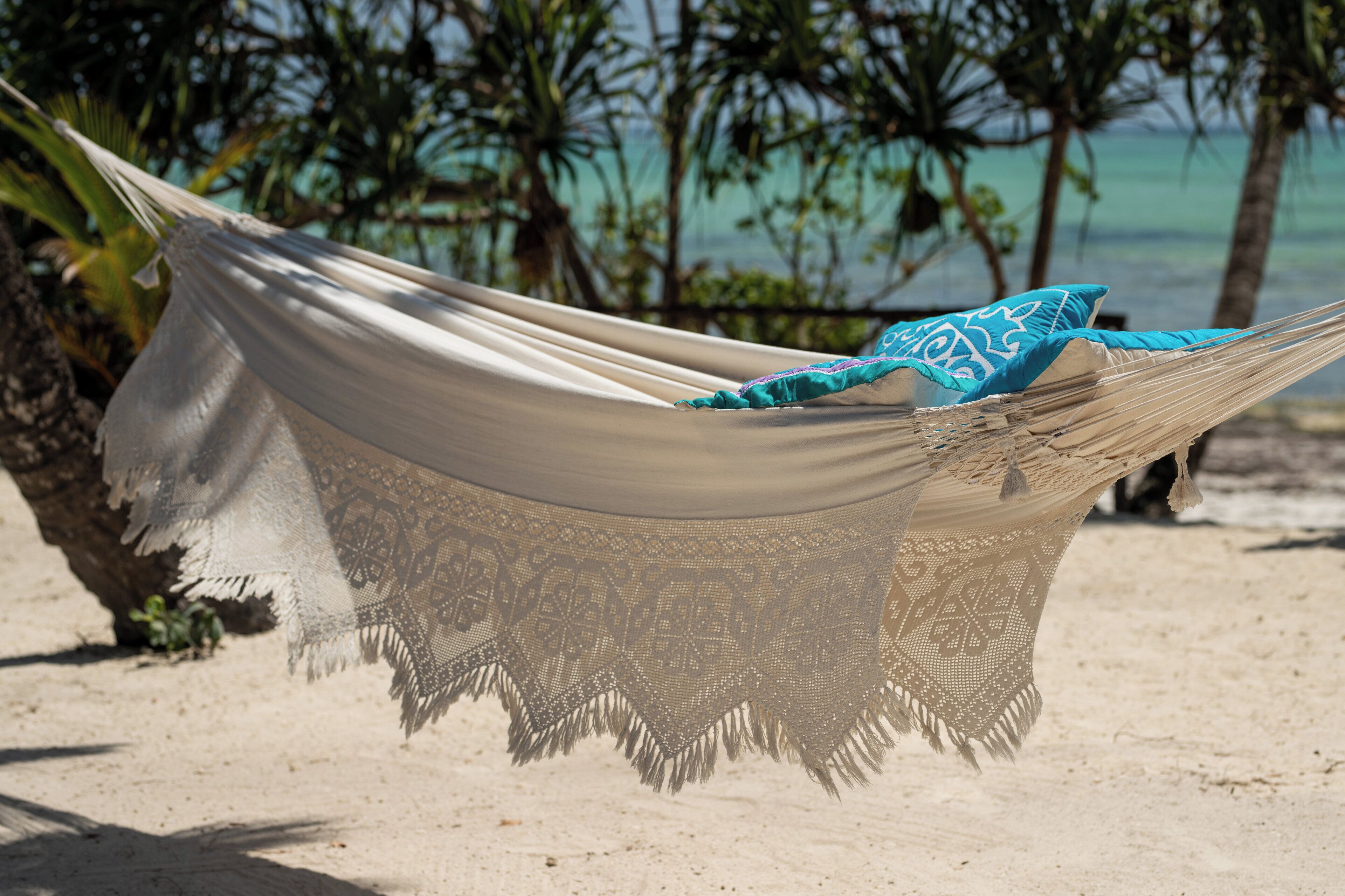 Un hamac est tendu entre deux palmiers sur une plage de sable, offrant une vue sur l’océan.