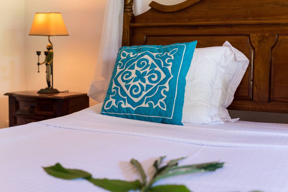 Una cama bien hecha con un almohadón blanco y un almohadón decorativo azul, un cabecero de madera, una mesita de noche con una lámpara y una planta verde sobre la cama.