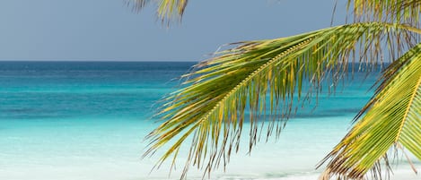 Een privéstrand, wit zand, ligstoelen aan het strand, parasols