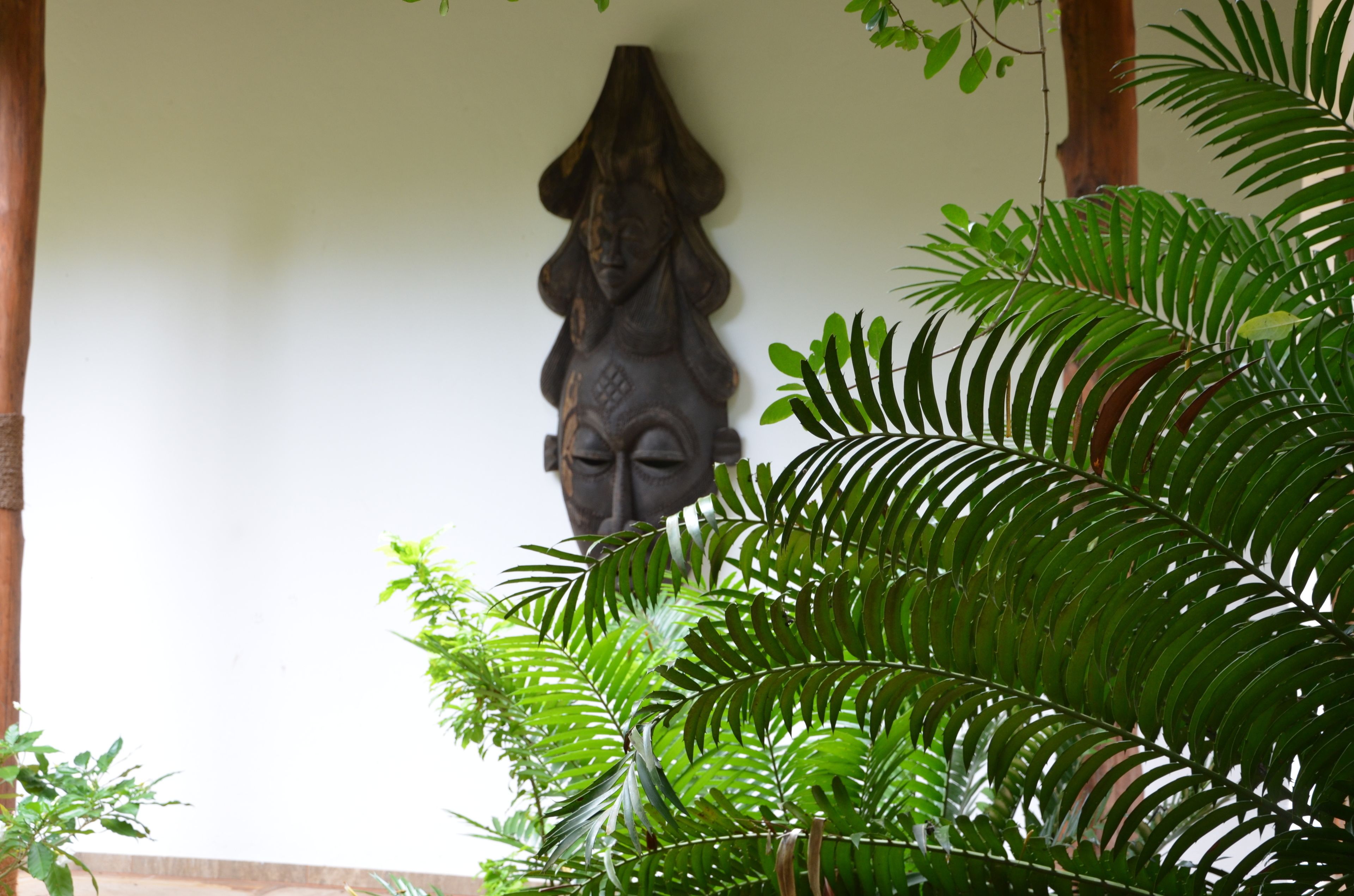 Foto - Tikitam Palms Boutique Hotel