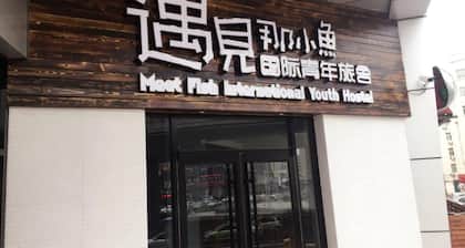 Meet Fish International Youth Hostel