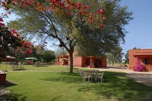 Property amenity - Thar Exotica Hotel & Resorts. (Bikaner)