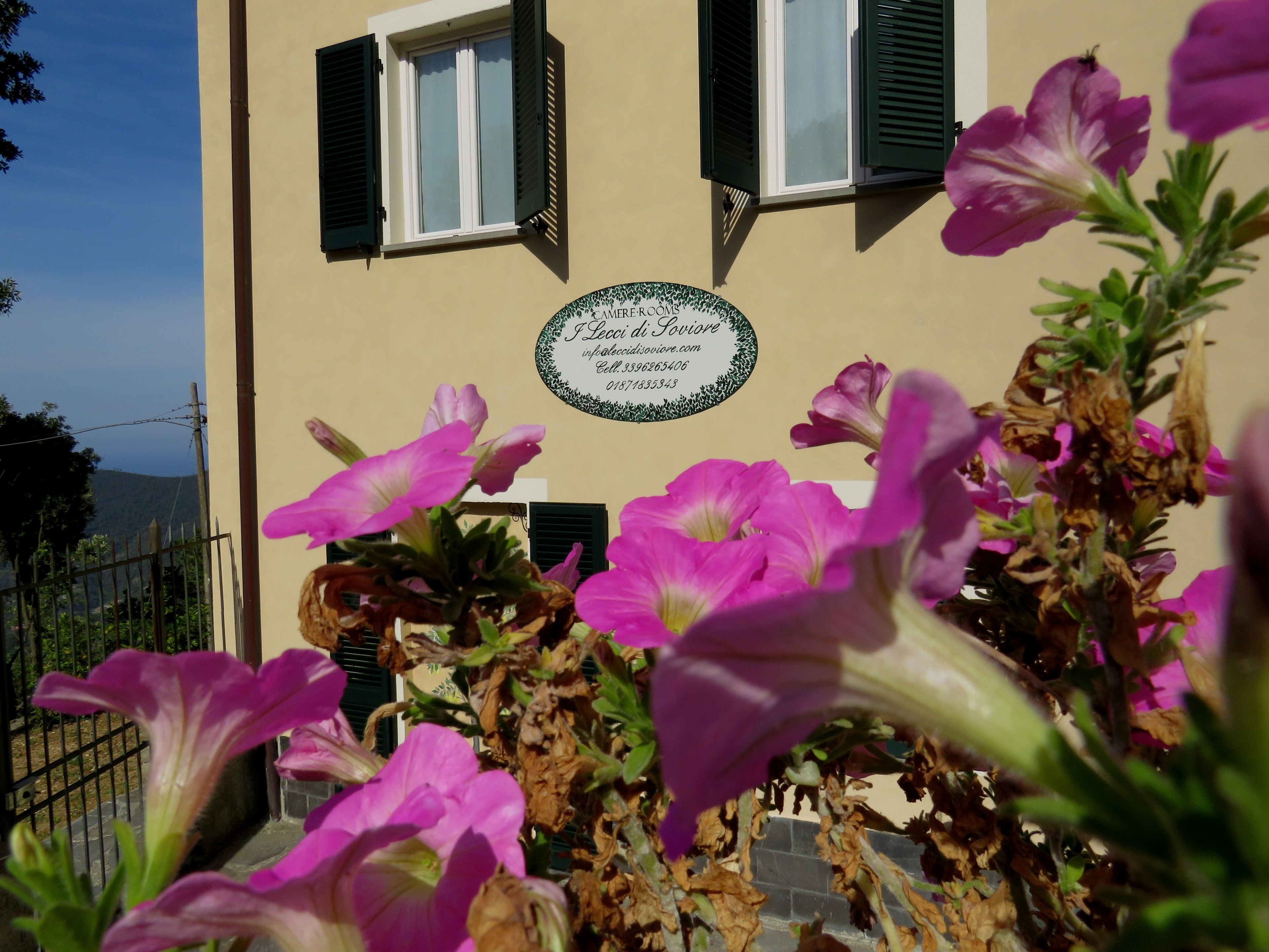Ein Gebäude mit einem Schild, das 'I Lecci di Sovie' und Kontaktinformationen zeigt.