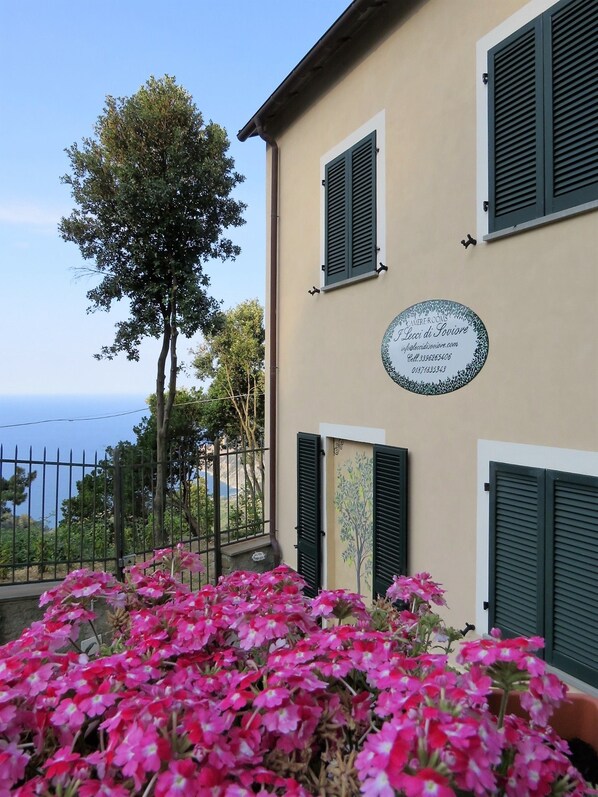 A building with a plaque, green shutters, and pink flowers in the foreground. - Lecci Di Soviore (Monterosso al Mare)