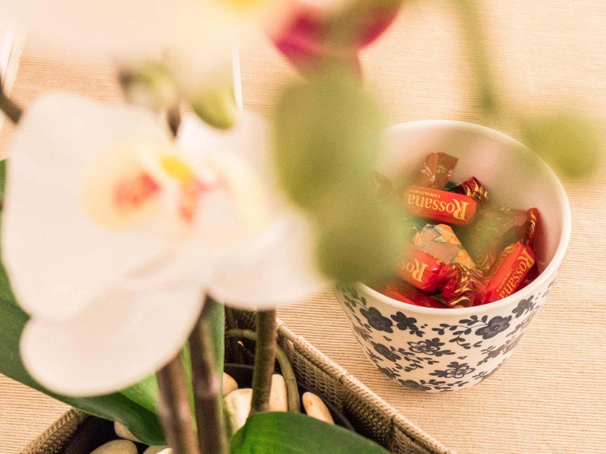 Foto - Villa Due Giardini