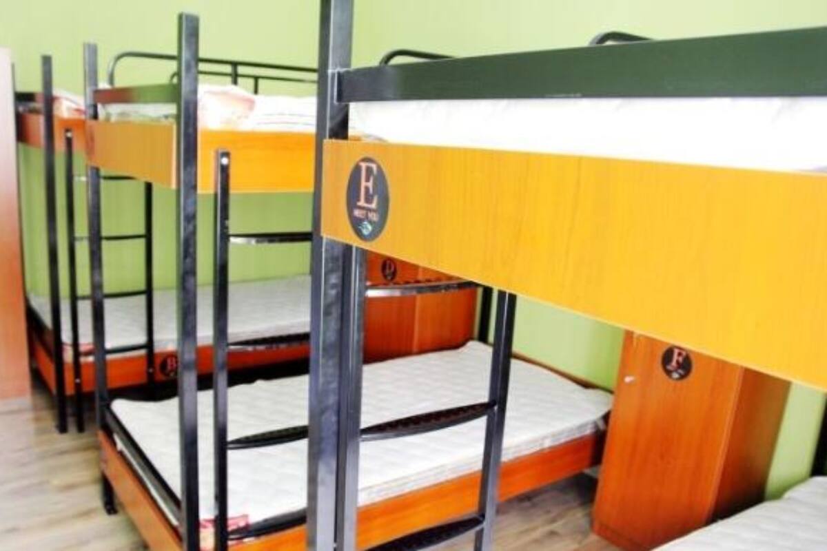Une chambre avec un lit superposé, un mur vert et un lit superposé en bois.