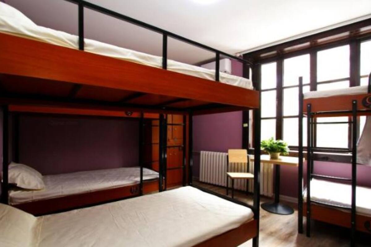 Une chambre de dortoir avec des lits superposés, un radiateur, une petite table avec une plante et de grandes fenêtres.