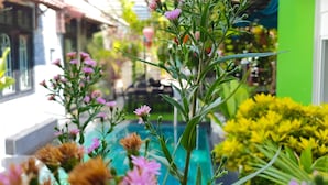 A garden with various flowers and plants, a building with a green facade, and a window with a view of the garden. - Anh Family Homestay (Da Nang)
