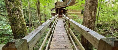 A wooden bridge leading to a treehouse structure in a forested area.