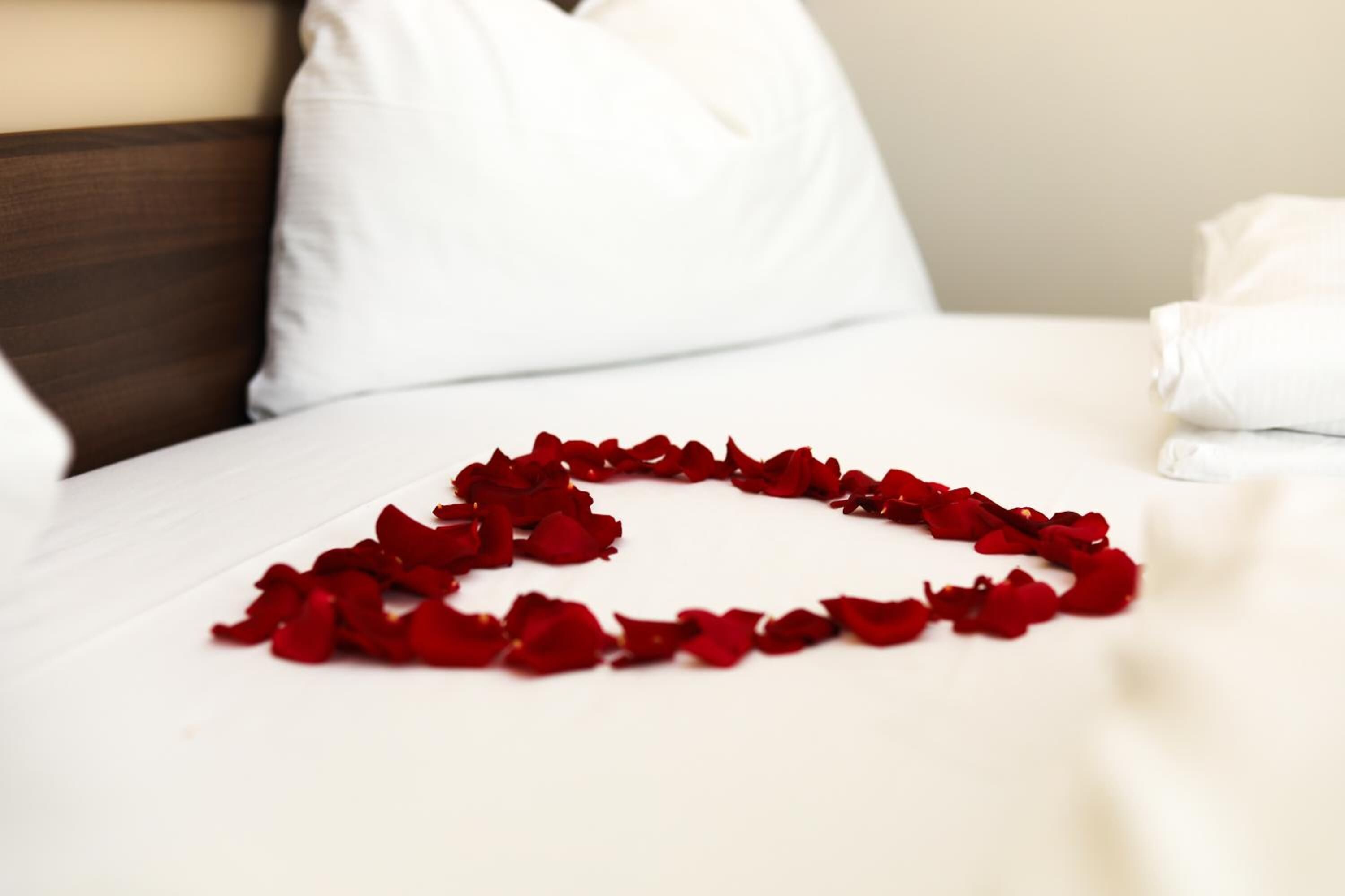 Cortinas blackout y sistema de insonorización 